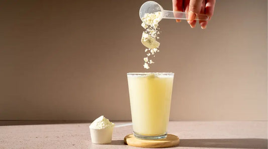 Creatine, Protein, or Both? Why the Power Builder System Uses Synergy