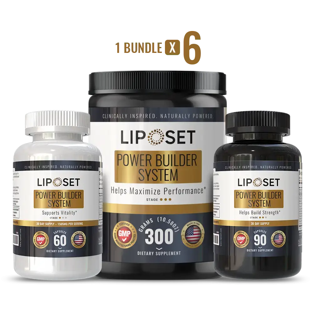 Liposet — Power Builder System